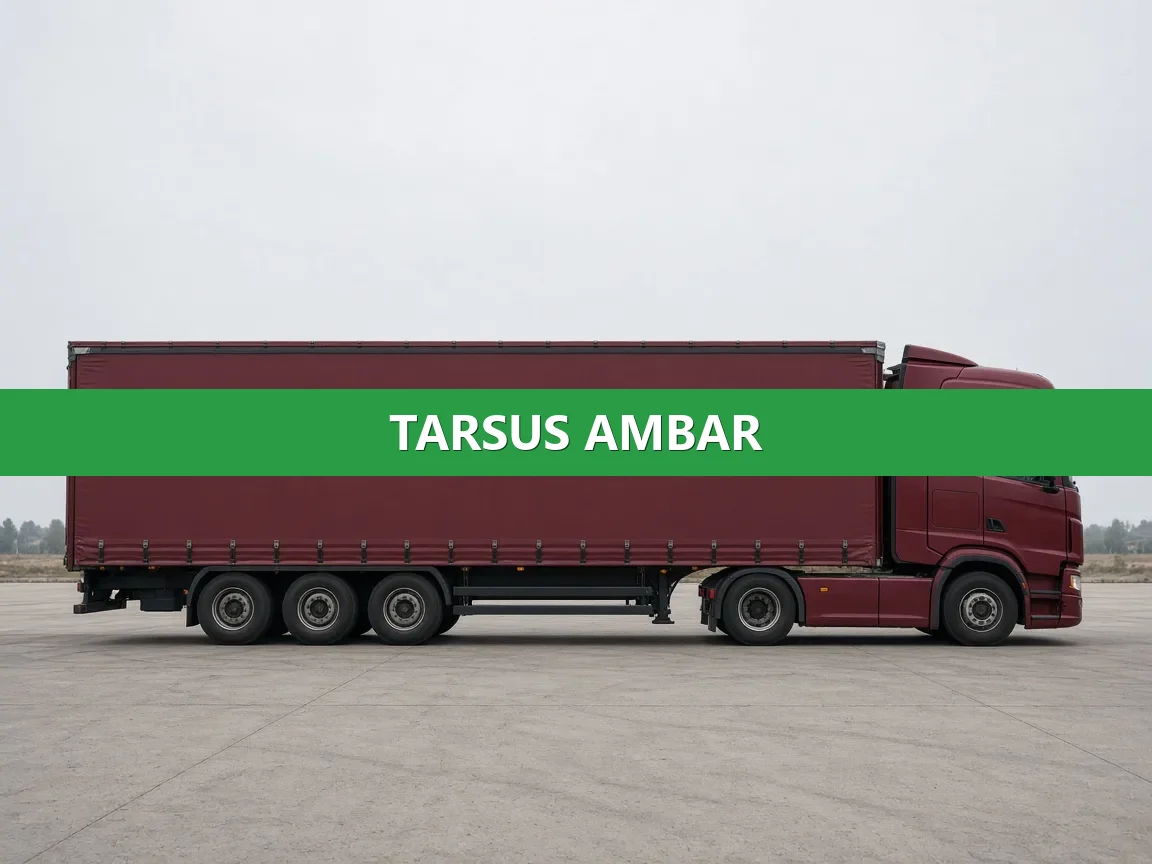 Tarsus Ambar